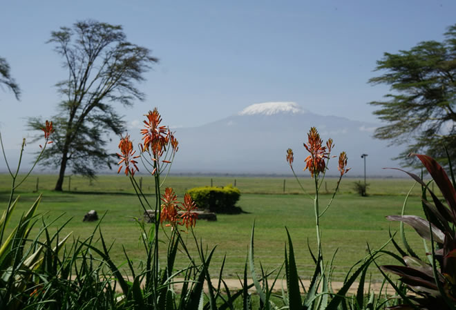 5 days Taste of Kilimanjaro and tsavo