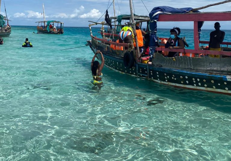 1 Day Wasini Island Dolphin Tour