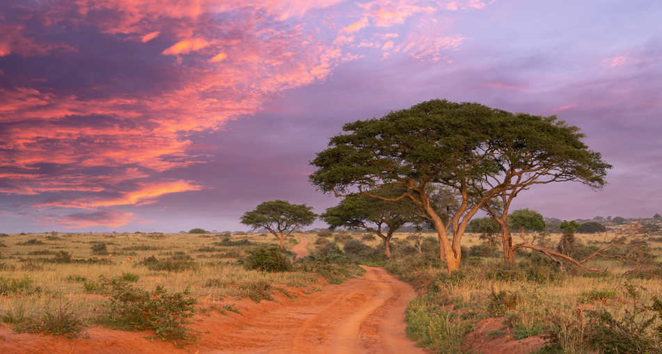 3 Days Tsavo East & West Safari from Mombasa_4