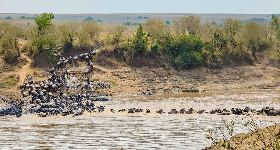 3 days maasai mara.1