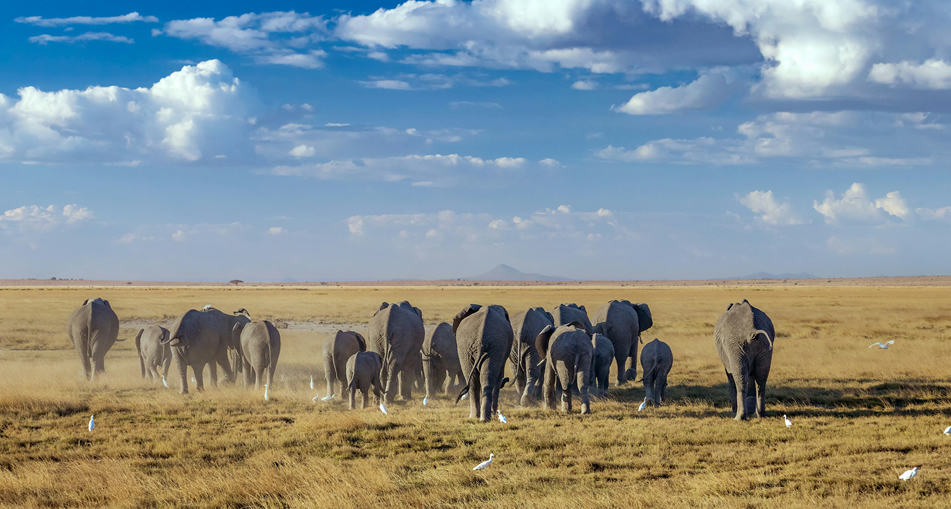 4 days amboseli national park1