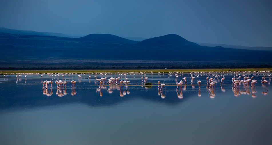 4 days amboseli national park3